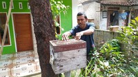 Di lokasi ini banyak jenis lebah lokal yang dibudidayakan masyarakat. Sedikitnya ada 10 spesies lebah, yakni lebah trigona, itama atau teuweul, leviset, lebah hutan atau Odeng, lebah matahari, nyiruan dan berbagai jenis lainnya yang belum diketahui (Dadang Hermansyah/detikcom)