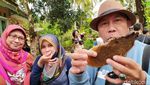 Potret Kampung Madu di Ciamis