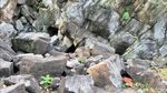 Foto: Gerbang Menuju Kerajaan Laut Selatan