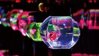 Sebanyak lebih dari 30 ribu ikan mas koki akan dipamerkan di Art Aquarium Tokyo. Pameran ini jadi spot baru yang instagrammable! (Foto: dok. Art Aquarium Japan)