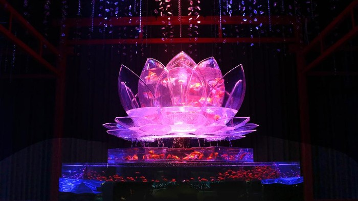 Lihat 30 Ribu Ikan Mas Koki Berenang di Art Aquarium Tokyo