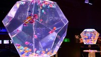 Ikan mas koki yang dipamerkan di akuarium ini pun terdiri atas berbagai jenis, mulai dari ikan mas koki yang mudah didapatkan di toko-toko sampai yang langka. (Foto: dok. Art Aquarium Japan)