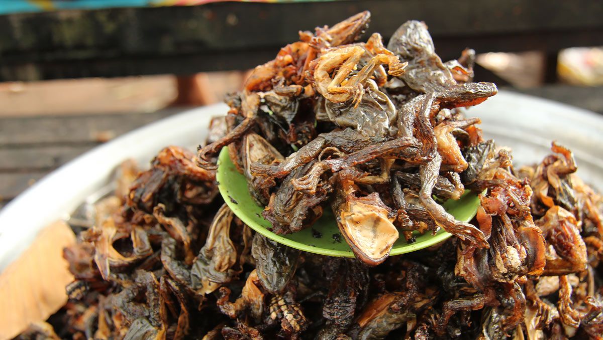 Makanan Ekstrem di Phnom Penh