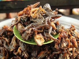 5 Wisata Kuliner Ekstrem di Phnom Penh yang Unik dan Populer