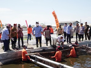 Menteri Eddy Tegaskan Sidat Banyuwangi Berkualitas Terbaik