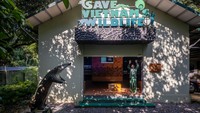 Save Vietnams Wildlife (SVW) adalah organisasi nirlaba dengan misi menyelamatkan trenggiling dari perdagangan satwa liar ilegal dan melepaskannya kembali ke alam liar, serta penelitian, kegiatan anti-perburuan liar dan advokasi.  