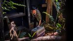 Ini Penangkaran Satwa Liar di Vietnam Untuk Cegah Kepunahan