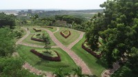 Hutan reklamasi bekas tambang batu kapur dengan sistem alur di pabrik Tuban, Jawa Timur. Sistem tersebut lebih ramah lingkungan dan efisien dibandingkan reklamasi yang dilakukan pada umumnya. Dok. SI