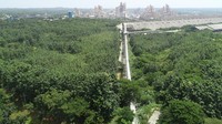 Area Arboretum Bukit Daun dan Hutan Reklamasi Pasca Tambang Batu Kapur di pabrik Tuban. Dok. SI
