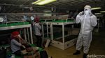 Perdana, Kapal KM Kelud Kembali Berlayar dari Priok