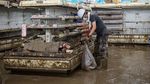 Potret Supermarket yang Hancur Diterjang Banjir Jepang
