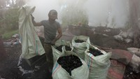Tempat produksi yang berada di sentra komoditas kelapa Provinsi Jambi tersebut mampu menghasilkan 500 kilogram arang batok per hari yang dipasarkan ke sejumlah daerah di pulau Sumatera dan Jawa.