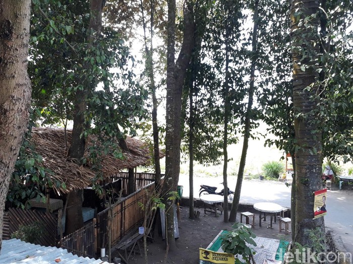Rumah Pohon Sambisari Rumah Pohon Sambisari