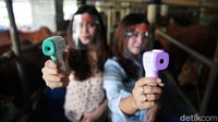 Dua SPG itu dibekali dengan thermo gun dalam menjajakan hewan kurban. Alat berbentuk pistol itu digunakan untuk mengecek suhu tubuh pengunjung yang akan membeli hewan kurban.