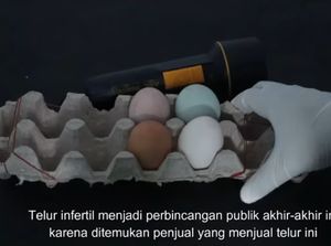 Diperbesar 1000 Kali, Telur Infertil Penuh Bakteri dan Tak Layak Konsumsi