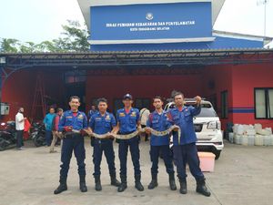 Heboh ABG Tangsel Tewas Dililit, Damkar Minta Warga Lapor Jika Temukan Ular