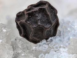 Foto Mengagumkan Benda Sekitar Pakai Lensa Makro