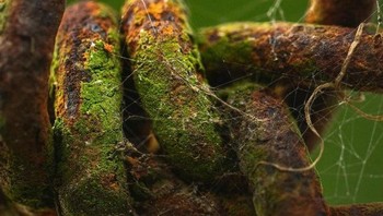 Kawat berduri. (Foto: Brightside)