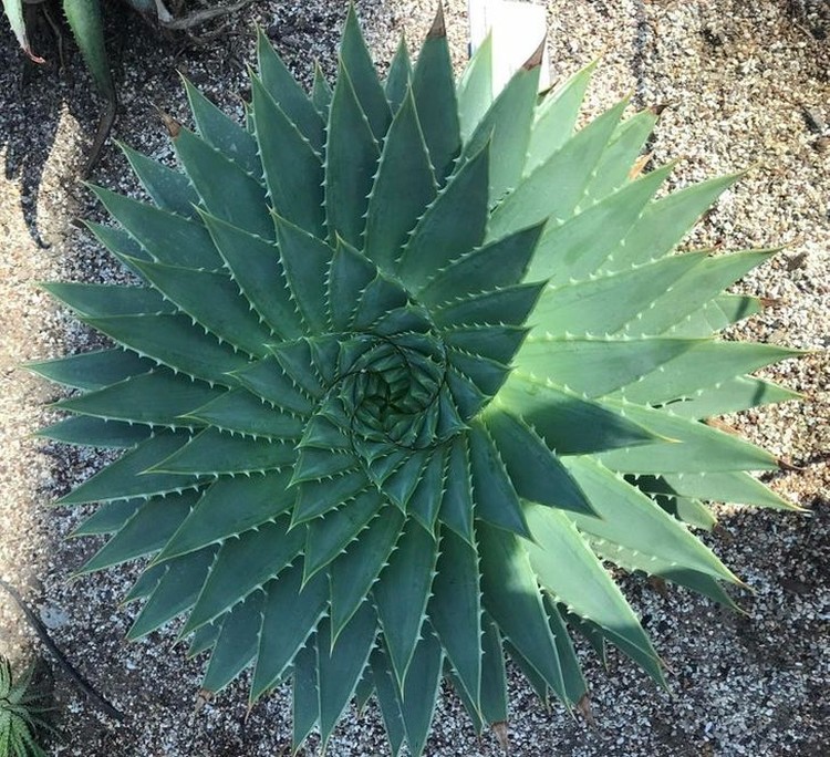 foto makro keren foto makro keren