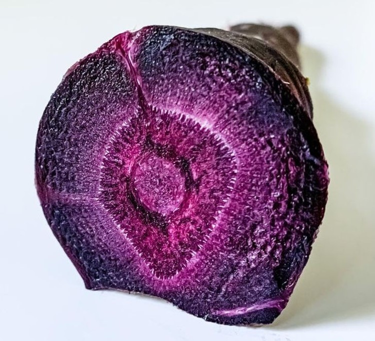 foto makro keren foto makro keren