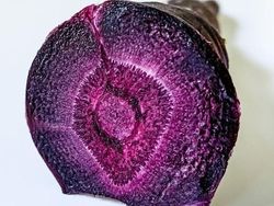 Foto Mengagumkan Benda Sekitar Pakai Lensa Makro