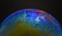 foto makro keren