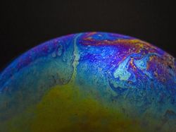 Foto Mengagumkan Benda Sekitar Pakai Lensa Makro