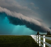 foto makro keren