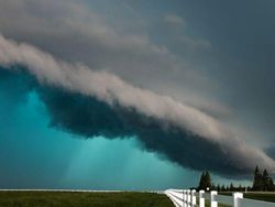 Foto Mengagumkan Benda Sekitar Pakai Lensa Makro