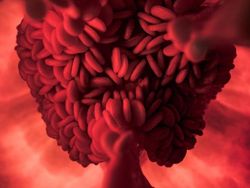 Foto Mengagumkan Benda Sekitar Pakai Lensa Makro