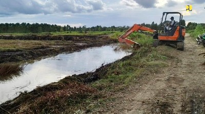 Ini Dia Kunci Agar Proyek Lumbung Pangan RI Mulus