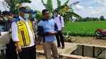 Ini Dia Kunci Agar Proyek Lumbung Pangan RI Mulus