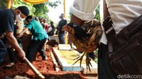 Salah seorang anggota keluarga bersiap melepas seekor ayam jantan di atas pusara Yodi. Menurut pihak keluarga, pelepasan ayam tersebut sesuai tradisi karena yang meninggal masih berstatus perjaka atau belum menikah. 