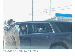 Momen Kocak Hewan-hewan Bernasib Sial