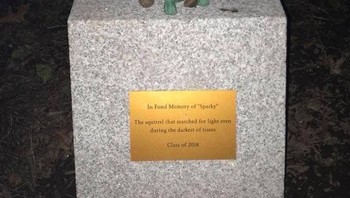 Monumen Sparky si tupai yang meninggal setelah menggigit kabel listrik dan memaksa kelas diliburkan dua hari. Foto: Brored Panda