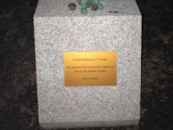 Momen Kocak Hewan-hewan Bernasib Sial