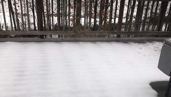 Tupai yang malang ini jatuh dari atap dan mendaratkan perutnya di lantai. Foto: Brored Panda