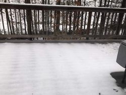 Momen Kocak Hewan-hewan Bernasib Sial