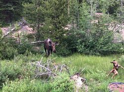 Momen Kocak Hewan-hewan Bernasib Sial