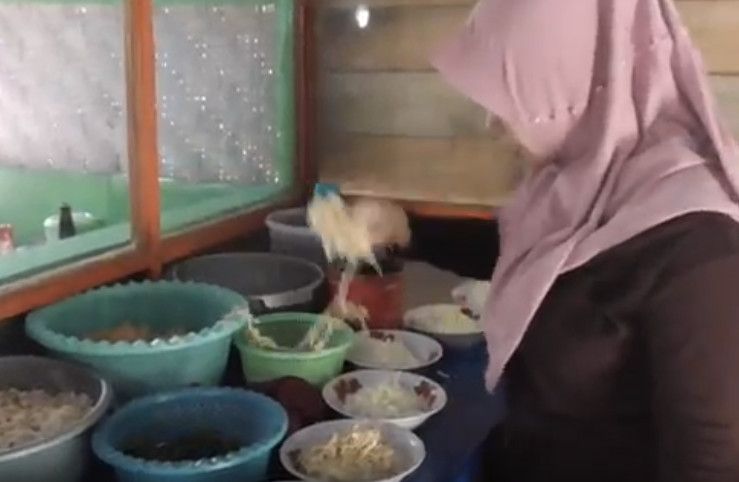 Nasi berenang