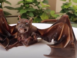 YouTuber Mukbang Kelelawar hingga Fakta Ikan Terjelek di Dunia
