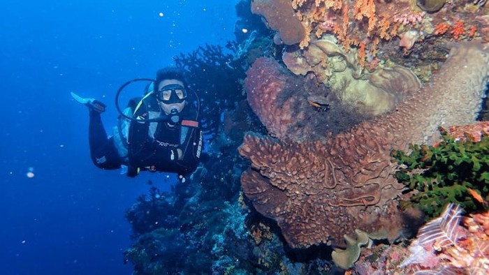 Lokasi diving di Sulawesi Utara.