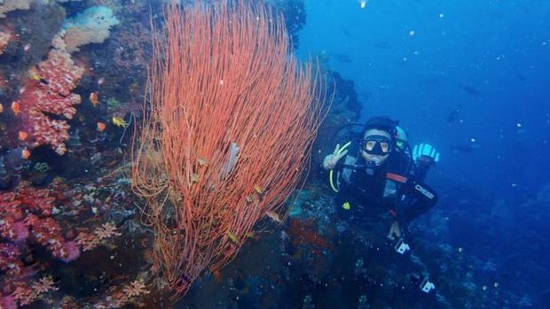 Lokasi diving di Sulawesi Utara.