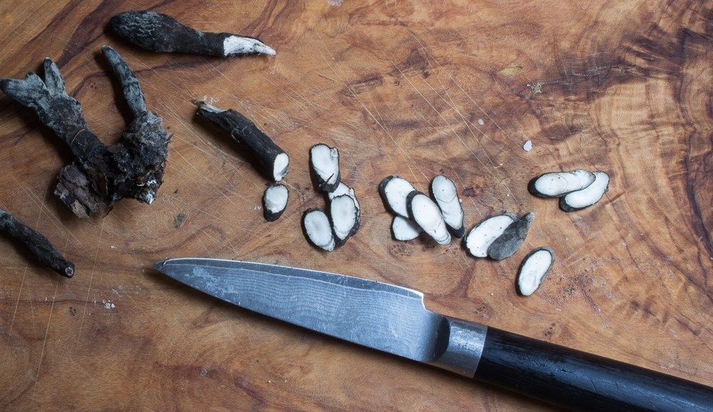 Jamur Dead Man's Fingers