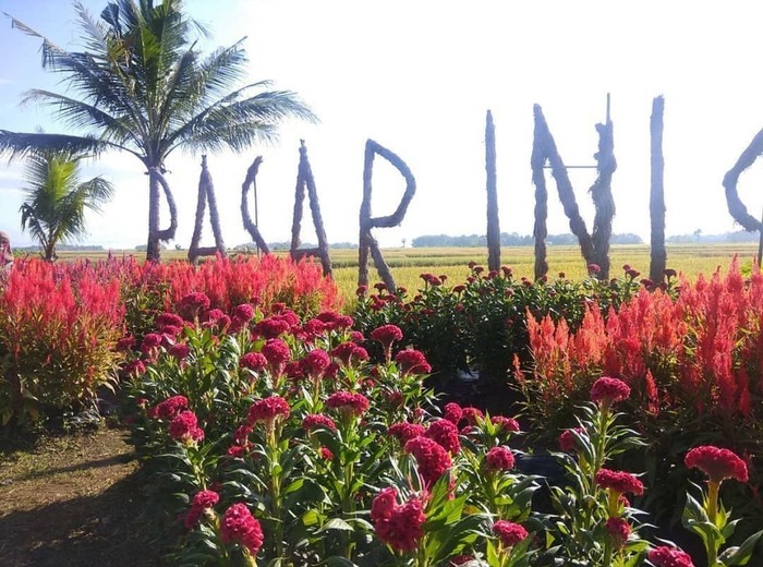 Di Pasar Inis Brondongrejo Ada Jajanan Ndeso Oyek dan Glebet