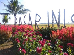 Di Pasar Inis Brondongrejo Ada Jajanan Ndeso Oyek dan Glebet