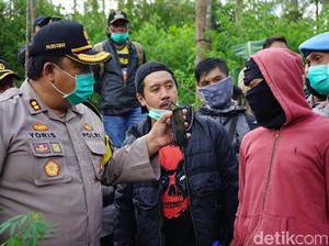 Kronologi Polisi Ungkap Ladang Ganja di Perkebunan Bandung