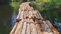 Di sepanjang perjalanan, beberapa kali kapal kecil yang ditumpangi tim harus terhenti karena banyaknya batang kayu. Lebar sungai Rawa ini dari bagian hilir sekitar 20 meter dan kebagian hulunya terus menyempit antara 5 sampai 10 meter.
