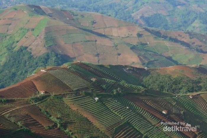Terasering Panyeweuyan Argapura Majalengka