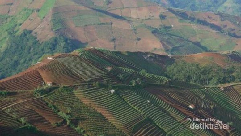 Terasering Panyeweuyan Argapura Majalengka Terasering Panyeweuyan Argapura Majalengka